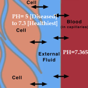 Alkaline Water Benefits