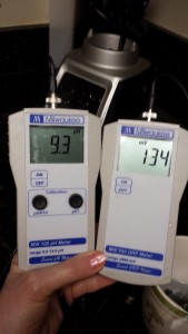 Ionized water stored 3 days in a hard plastic 5-gallon jug. [PH 9.3 and ORP +134]