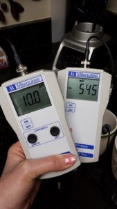 Freshly Ionized Water [Not Stored] PH 1.0 and ORP -545