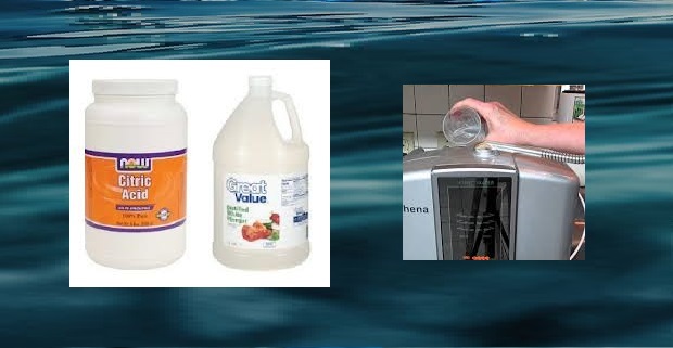 Vinegar vs Citric Acid Wash: Which is Better to Clean Your Water Ionizer? -  Alkaline Water Plus